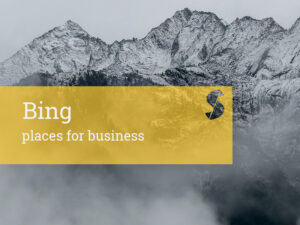 Bing Places for Business